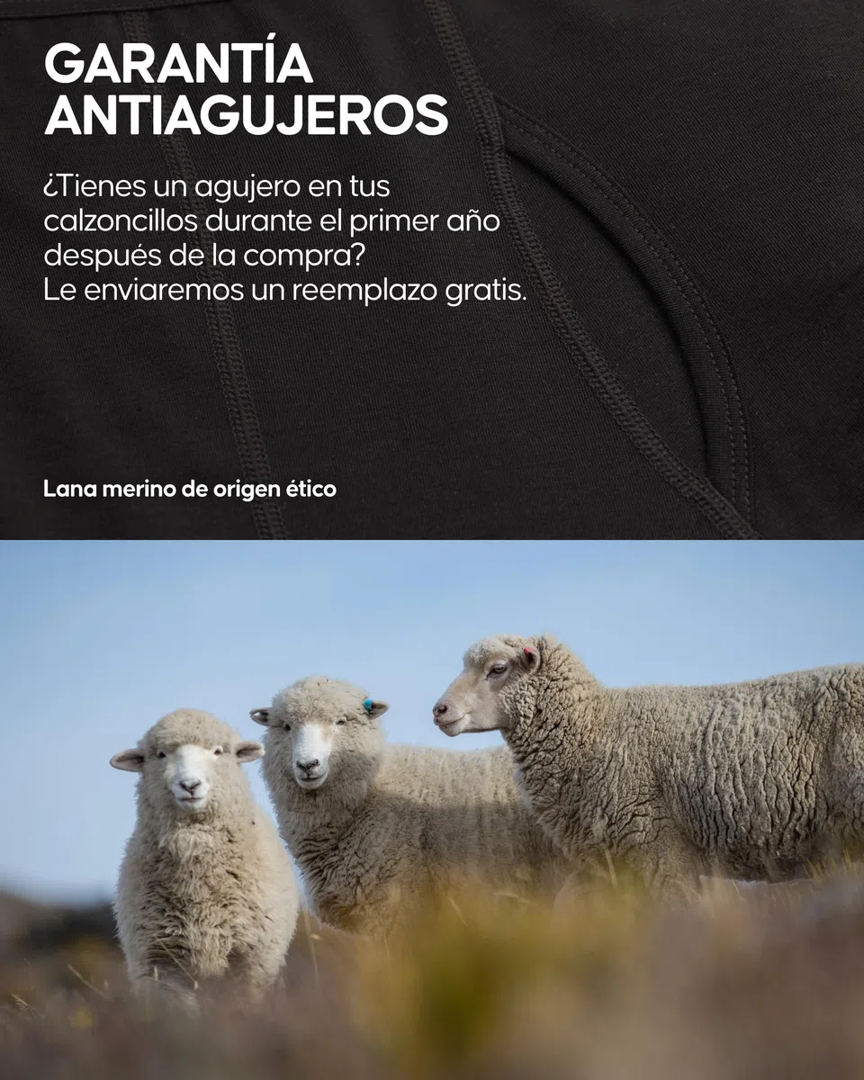 DANISH ENDURANCE Calzoncillos Hombre Boxer de Lana Merino, Transpirables, Pack de 1, con o Sin Bolsillo