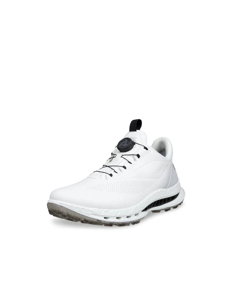 ECCO Men's Biom C5 Boa, Zapatos de Golf para Hombre