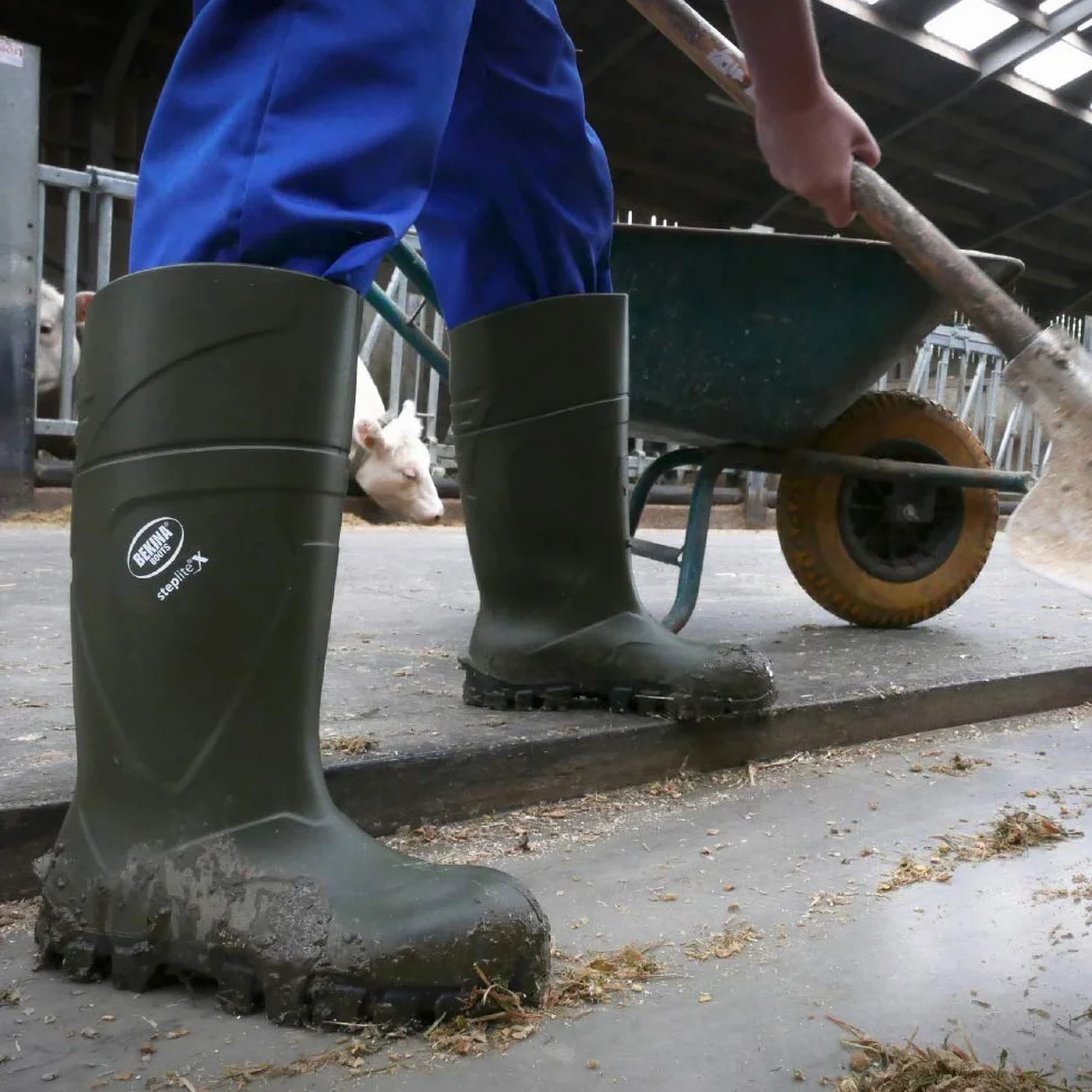 Bekina Bota de Trabajo Robusta para Mujeres y Hombres sin Puntera de Acero de Seguridad, para Uso agrícola, Garantiza una excelente adherencia, protección de Aislamiento -30 Grados, Verde, EU 46