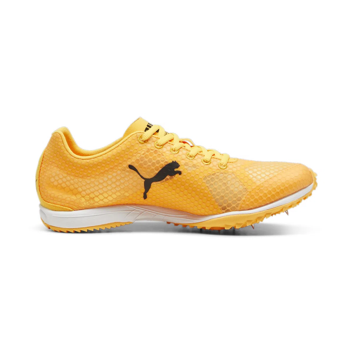 Puma Evospeed Haraka 8 Unisex Track and Field ShoeUnisex niños